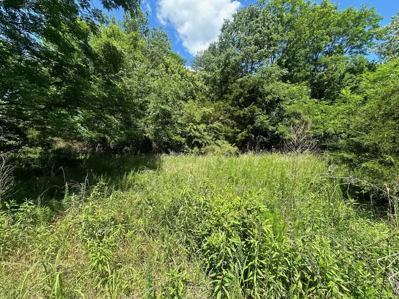 Lot 174 Teludachee Trail, South Pittsburg, TN 37380