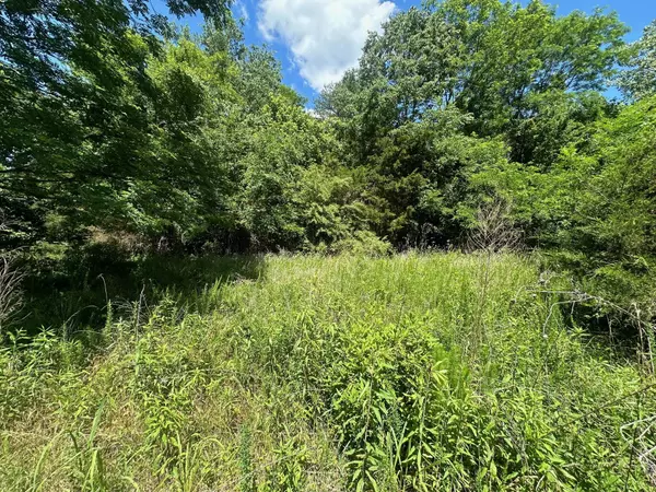 Lot 174 Teludachee Trail, South Pittsburg, TN 37380