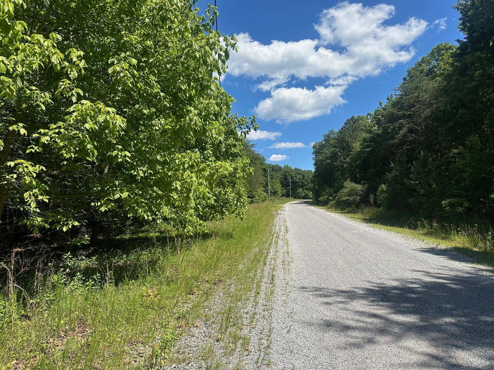 South Pittsburg, TN 37380,Lot 176 Teludachee Trail