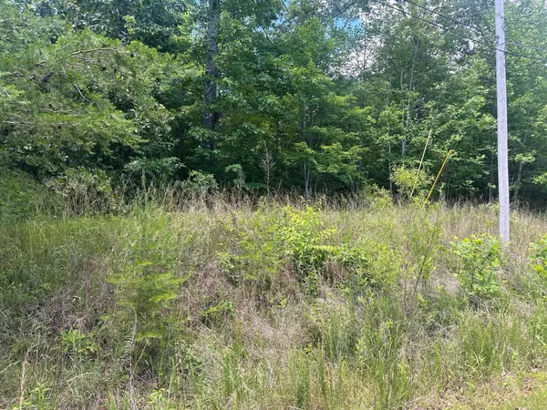 South Pittsburg, TN 37380,Lot 103 Chesadu Circle