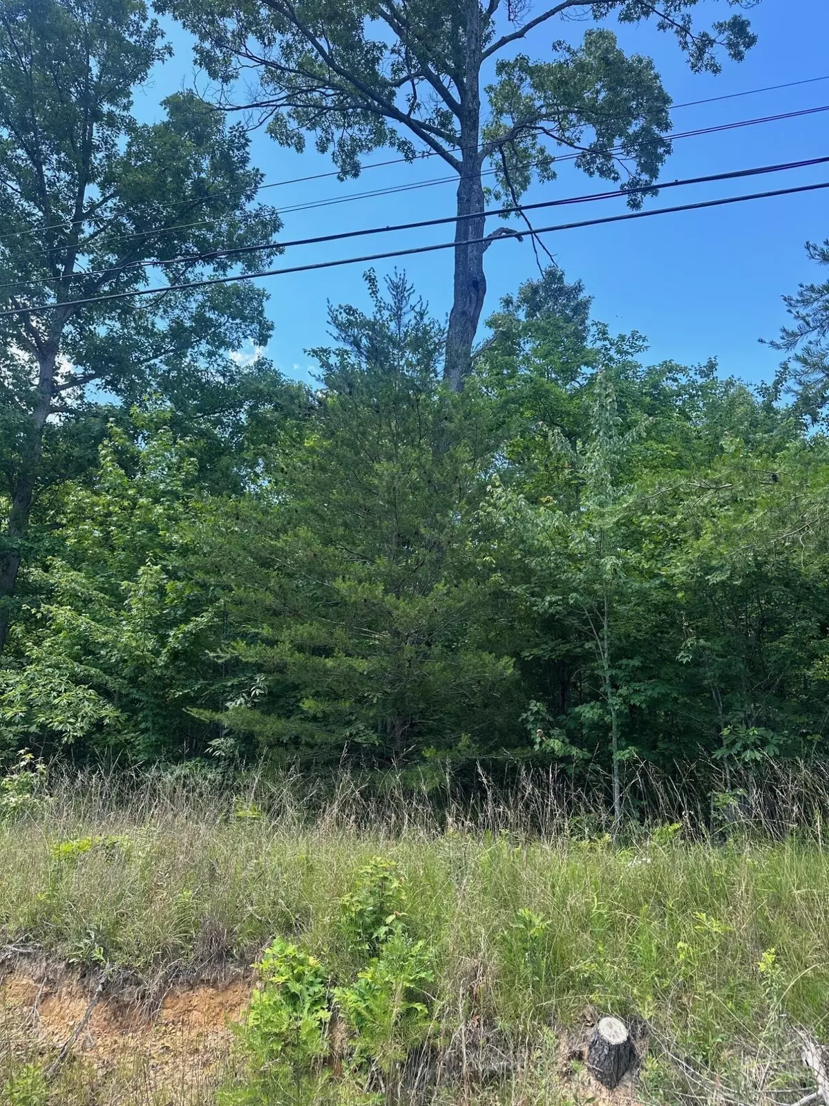 South Pittsburg, TN 37380,Lot 103 Chesadu Circle