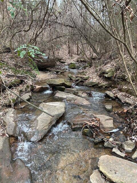 1007 Evanwood DR, Lookout Mountain, TN 37350