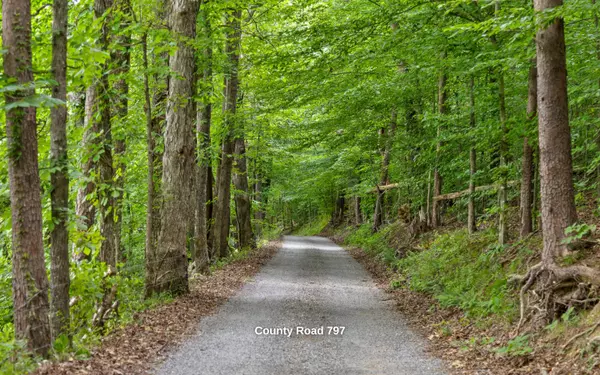 Valley Head, AL 35989,23 Acres County Road 797