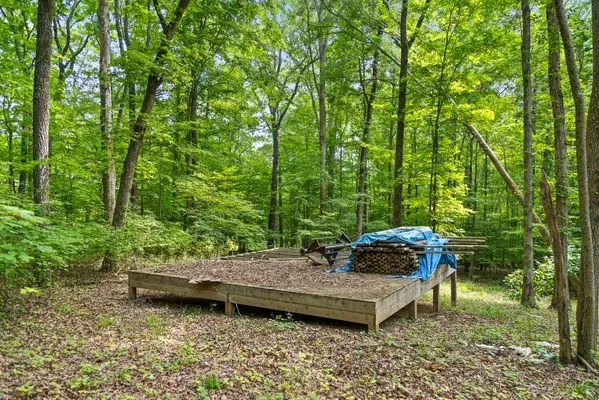 Valley Head, AL 35989,23 Acres County Road 797