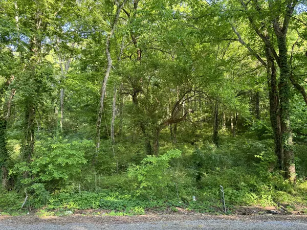 Flat Rock, AL 35966,13.34 Acre County Road 491