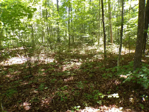 Crossville, TN 38571,0 Brown Creek DR