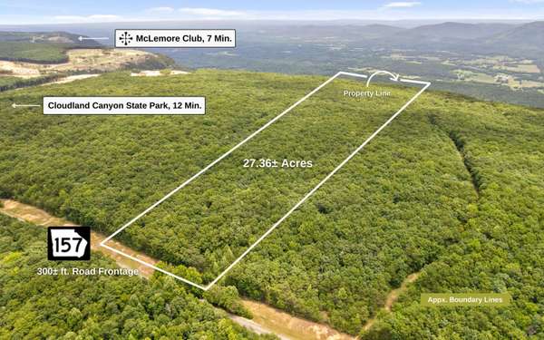 27 Acres Highway 157, Menlo, GA 30731