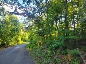 000 Ewing RD,  Spring City,  TN 37381