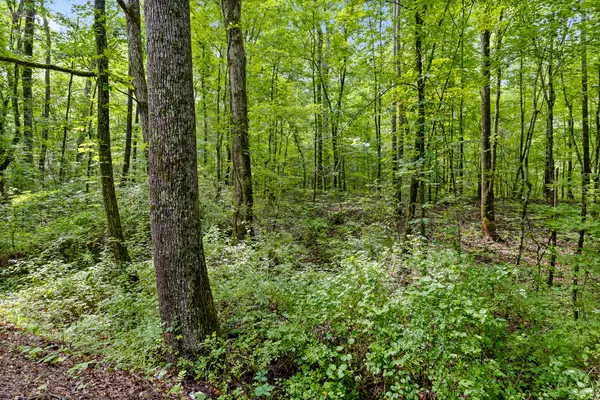 Lafayette, GA 30728,0 Highway 27