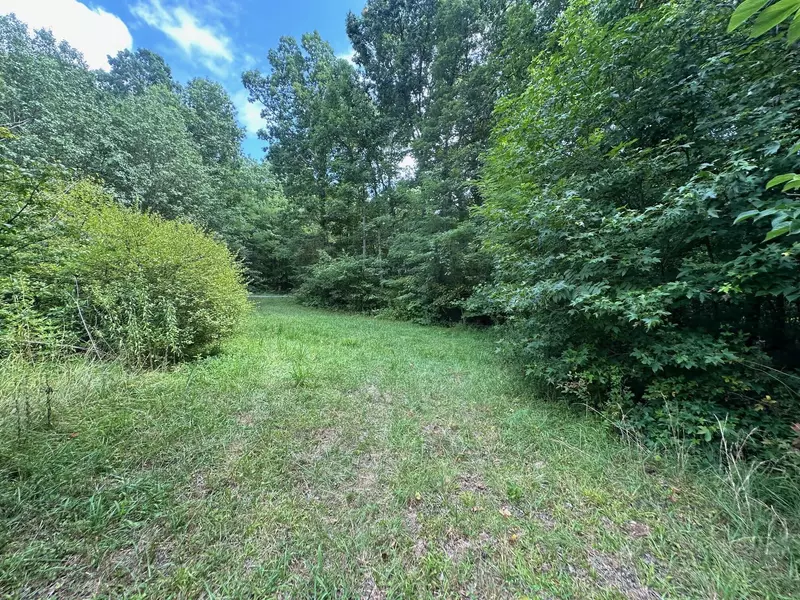 Tract 2 Prater Road, Pikeville, TN 37367