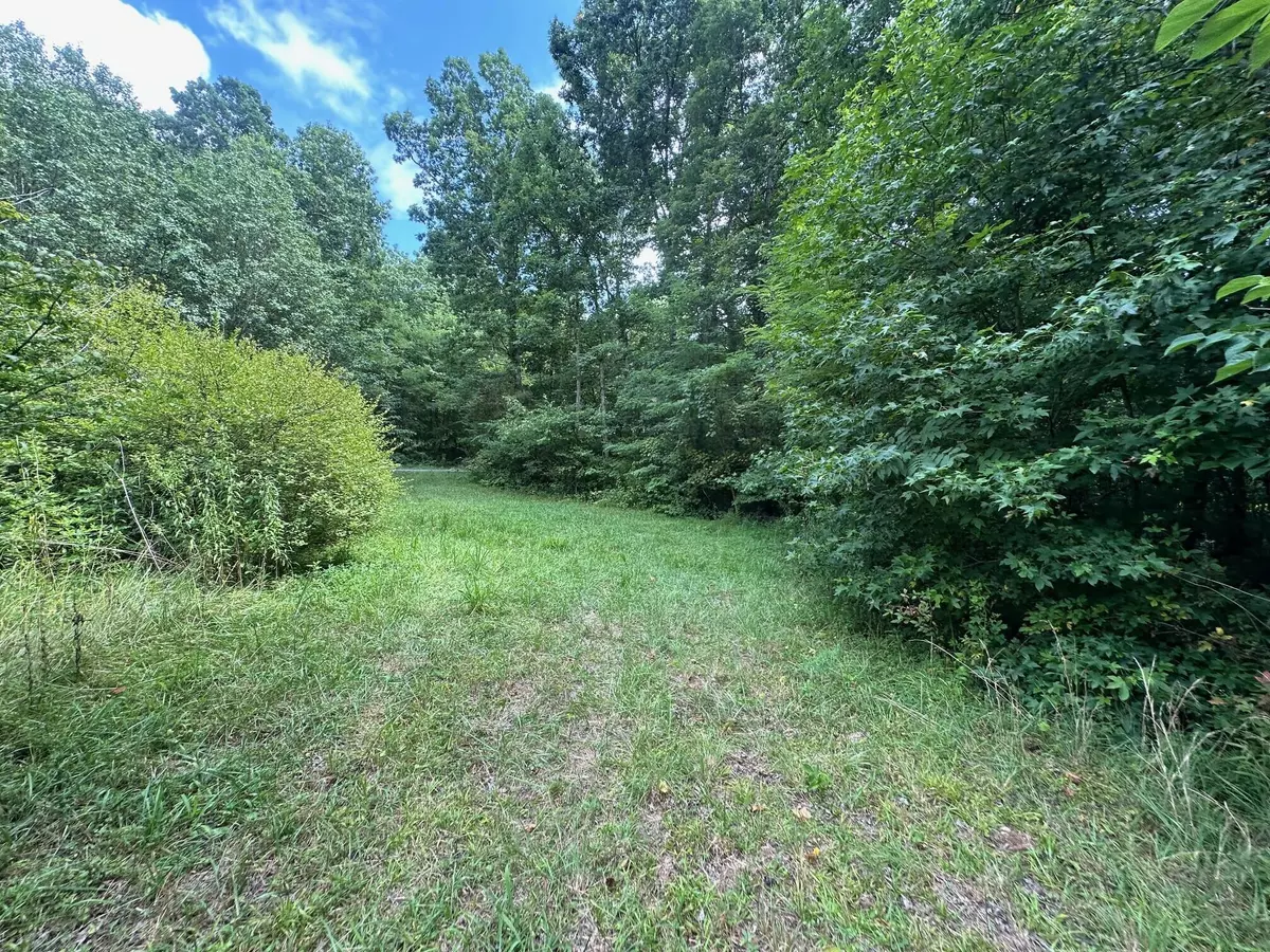 Pikeville, TN 37367,Tract 2 Prater Road
