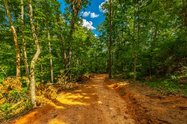 Ringgold, GA 30736,0 Clearview DR