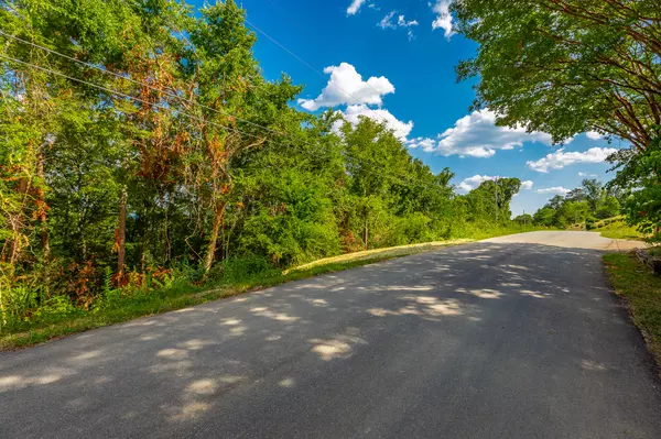 Ringgold, GA 30736,0 Clearview DR