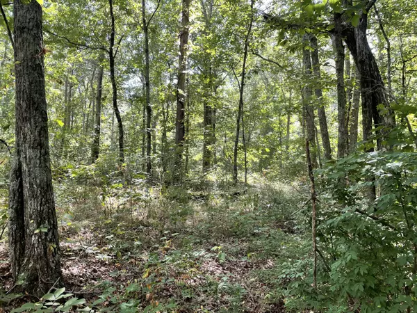 Signal Mountain, TN 37377,825 U S Hwy 127