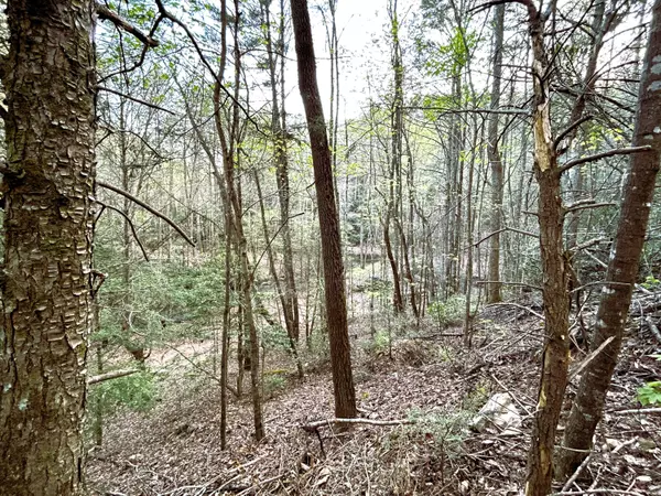 Tellico Plains, TN 37385,40 Acres Ivy TRL