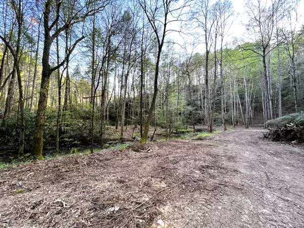 Tellico Plains, TN 37385,40 Acres Ivy TRL