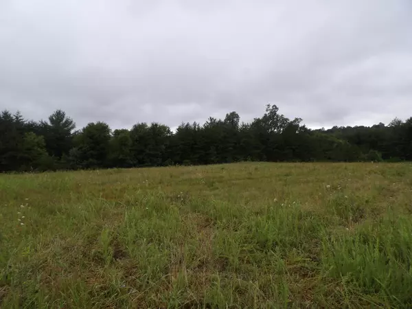 Deer Lodge, TN 37726,05 Hemlock Bluff Way RD