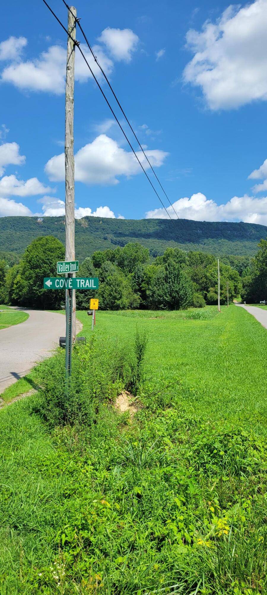 Whitwell, TN 37397,00 Cove TRL