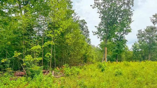 Dunlap, TN 37327,1897 Deerhead RD