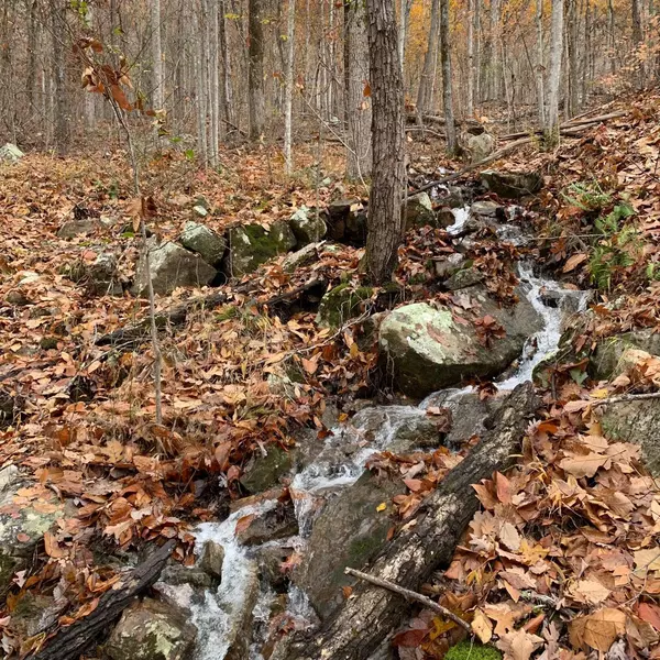 Guild, TN 37340,0 Highway 134