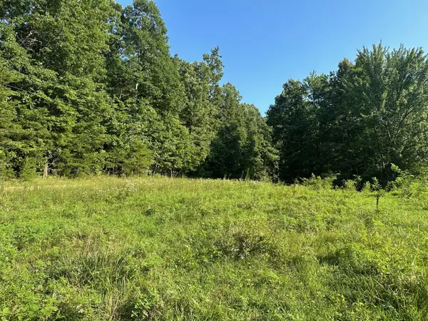 Tract 3 Prater Road, Pikeville, TN 37367