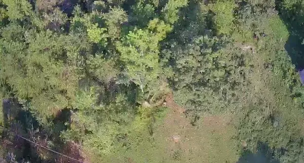 Trenton, GA 30752,00 New Home RD