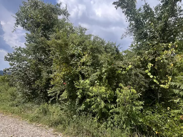 Trenton, GA 30752,175 Hall LN