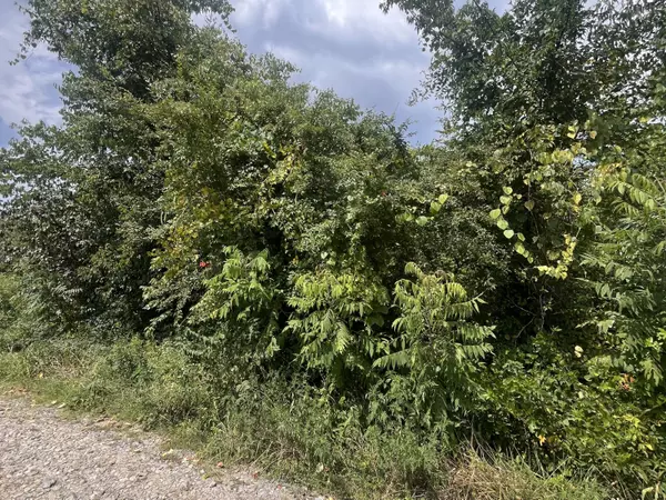 Trenton, GA 30752,175 Hall LN