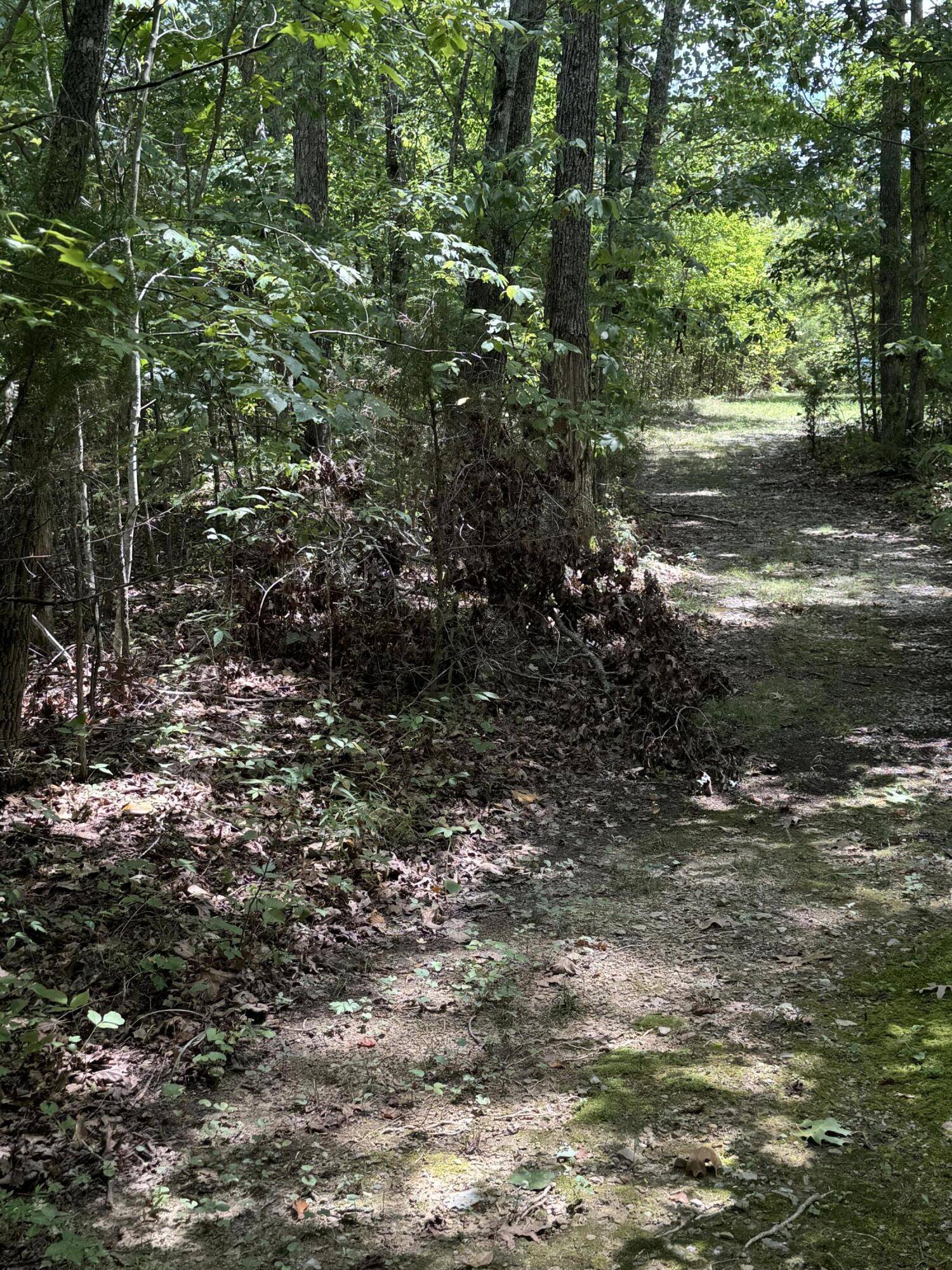 Pikeville, TN 37367,00 Mountain Lake CIR