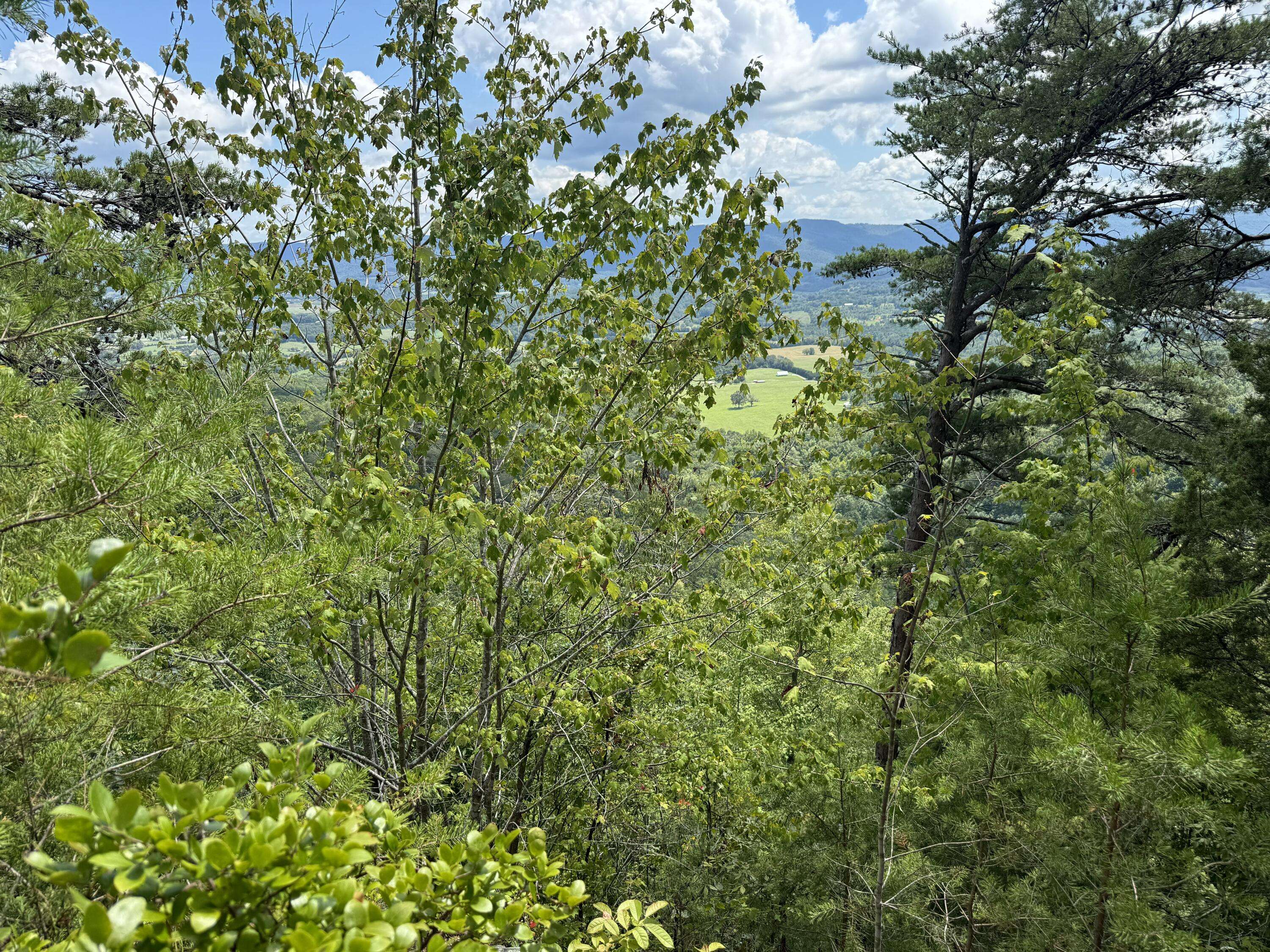Pikeville, TN 37367,00 Mountain Lake CIR