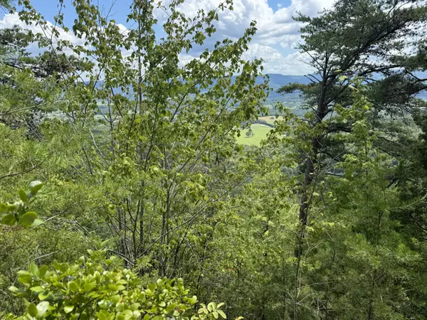 Pikeville, TN 37367,00 Mountain Lake CIR