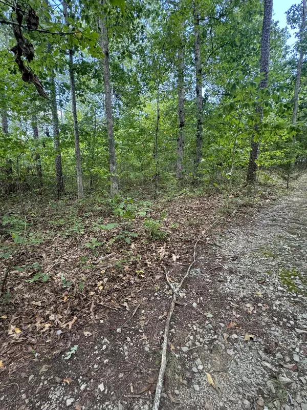 Pikeville, TN 37367,00 Mountain Lake CIR