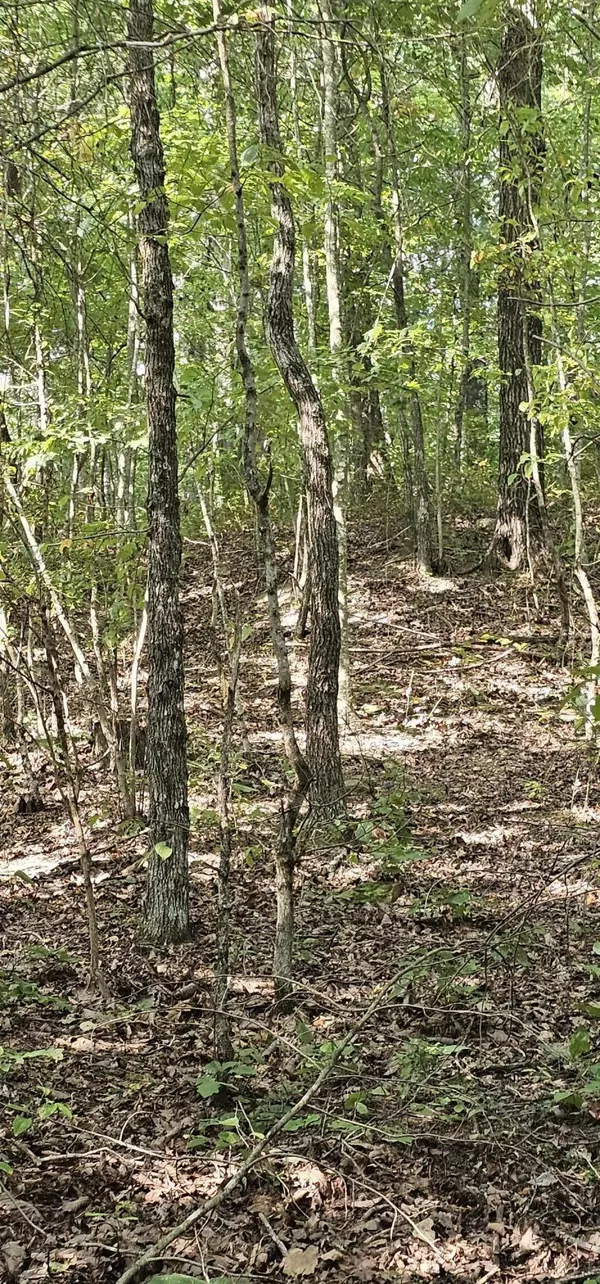 Pikeville, TN 37367,000 Cove Hill RD