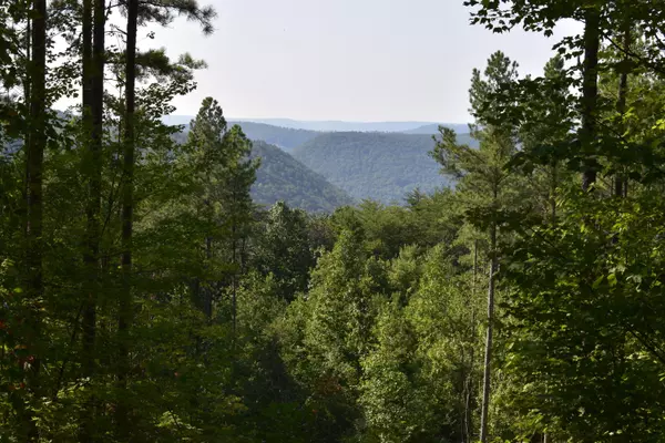 Guild, TN 37340,0 Split Rail WAY