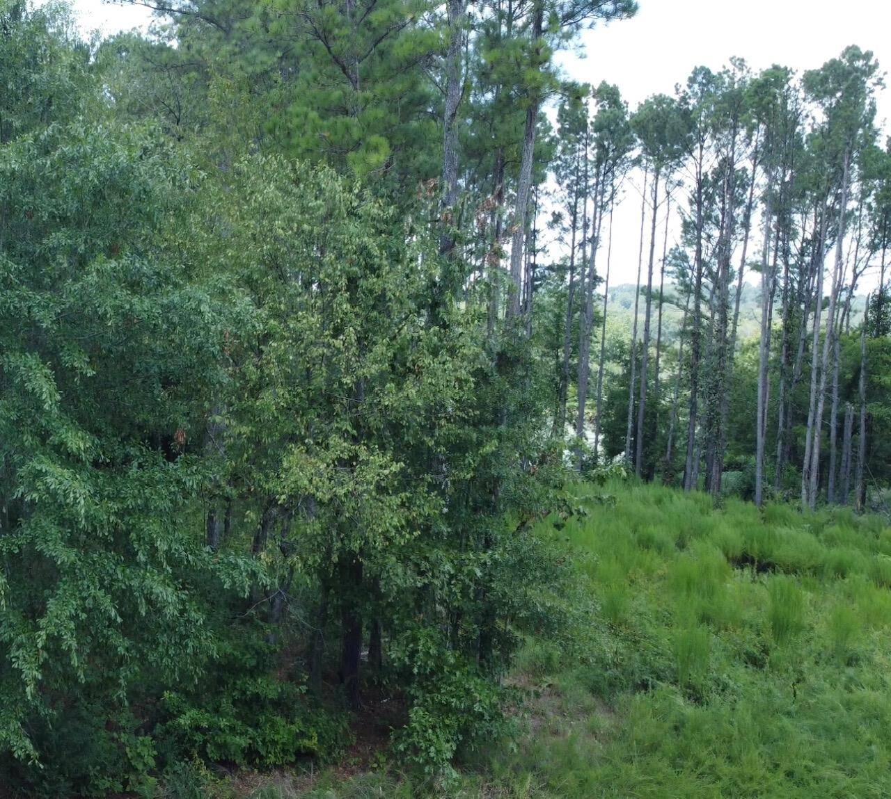 Jasper, TN 37347,0 Castaway LN
