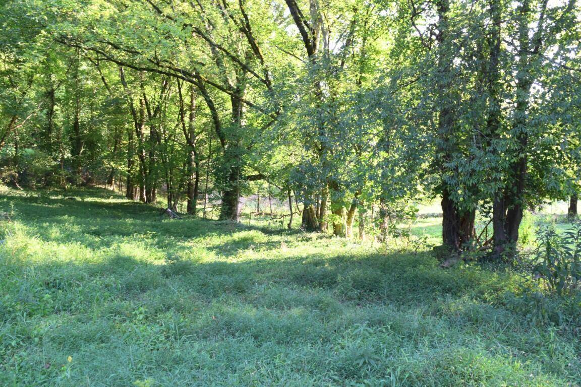 Riceville, TN 37370,323/17 Ac County Road 2