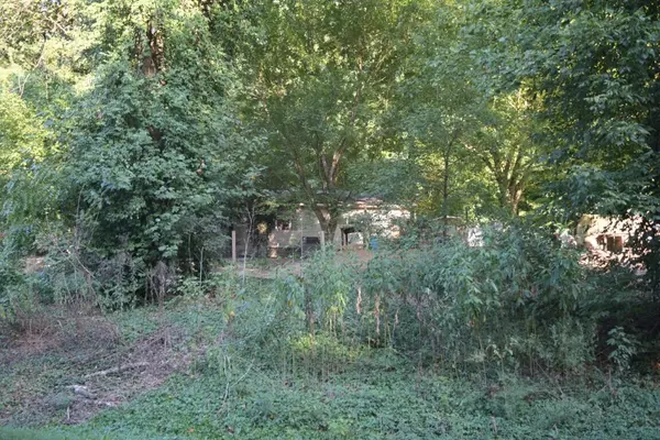 Riceville, TN 37370,323/17 Ac County Road 2