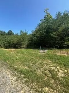 Dunlap, TN 37327,8 Log Cabin LN