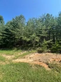 Dunlap, TN 37327,8 Log Cabin LN
