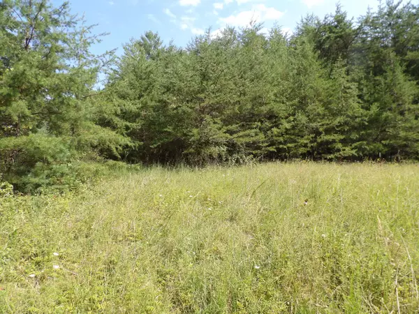 Deer Lodge, TN 37726,243 Mountain View DR