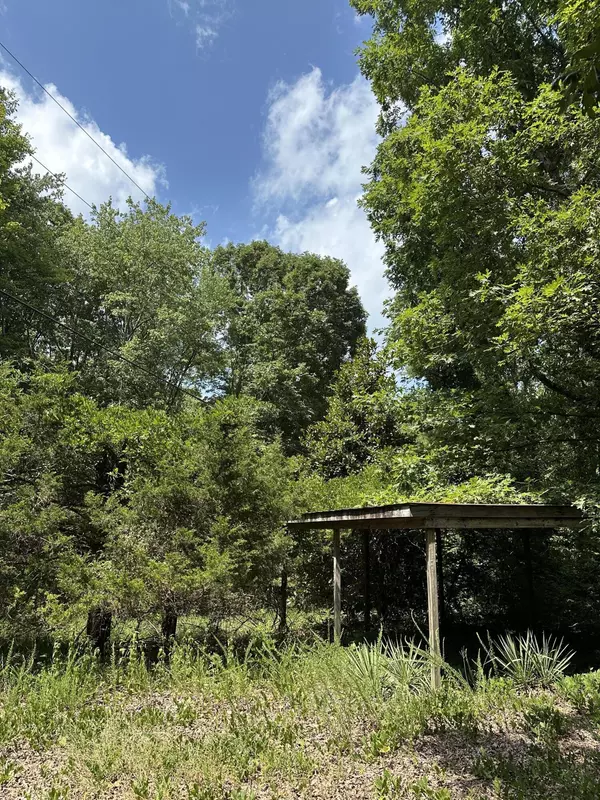 Tracy City, TN 37387,1 Flat Branch Road