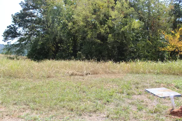 Decatur, TN 37322,00 The Gates DR