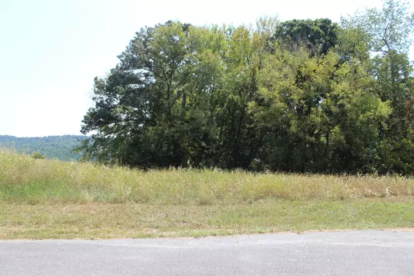 Decatur, TN 37322,00 The Gates DR