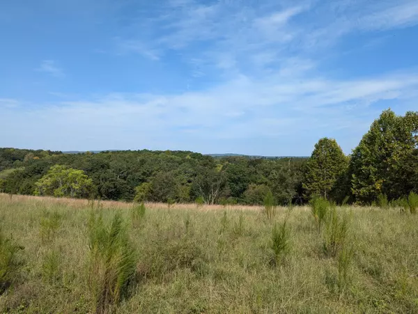 Sale Creek, TN 37373,22.73 Acre Aslinger RD