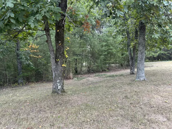 Dunlap, TN 37327,0 Skyhigh DR