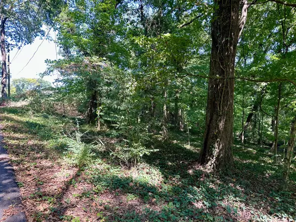 Chattanooga, TN 37406,0 Chickamauga AVE