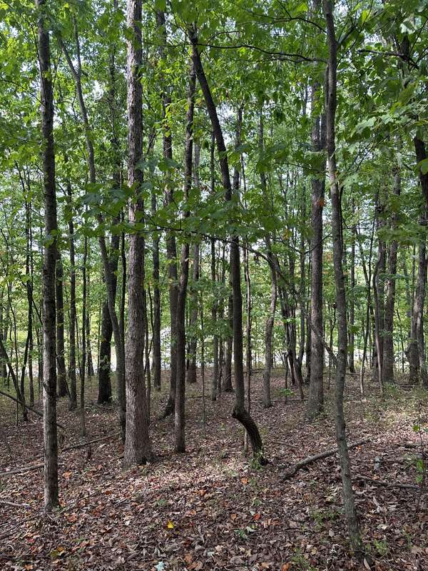 Lot 310 Raulston Falls Road RD, South Pittsburg, TN 37380