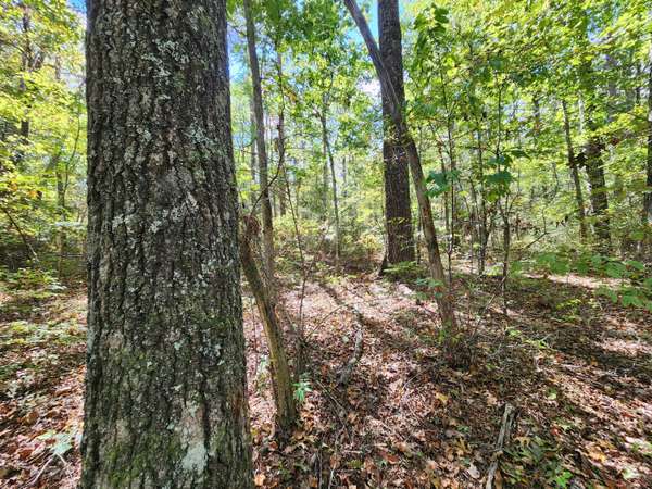 Lot 17 Whitetail DR, Mentone, AL 35984