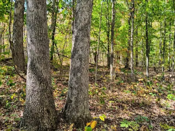 Dunlap, TN 37327,00 Sr 8 RD