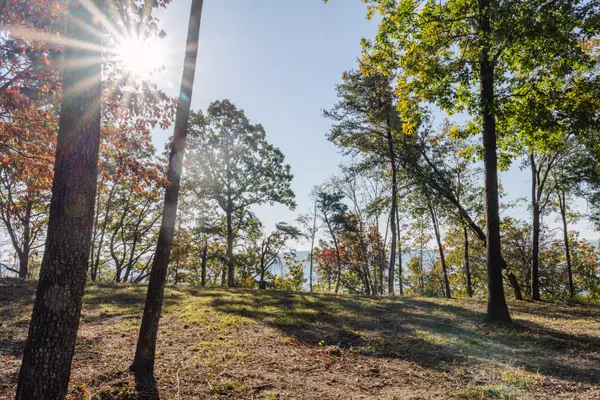 Chattanooga, TN 37419,3367 River Gorge DR